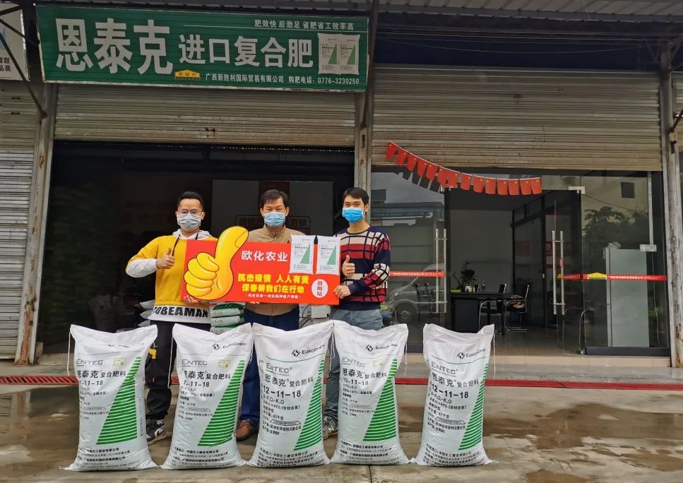 聚焦|抱薪赴雪，“欧化”开启寻爱历程