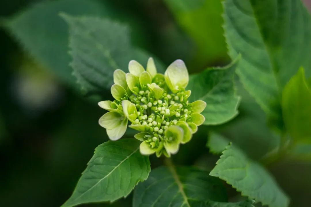 加强泌尿系健康和盆底肌肉|《更年期的智慧》第八章第7节