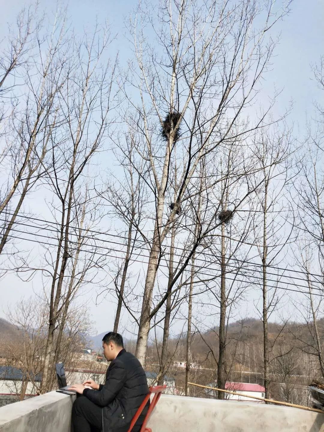 青春微光议论文,青春微光文章