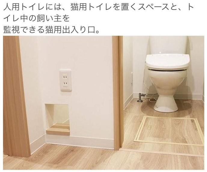 猫奴的春天！日本这家公司专门打造出「猫奴公寓」，每一处设计都超贴心
