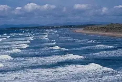 北戴河五一去能够在海边玩吗,五一去北戴河还能够看见海鸥吗