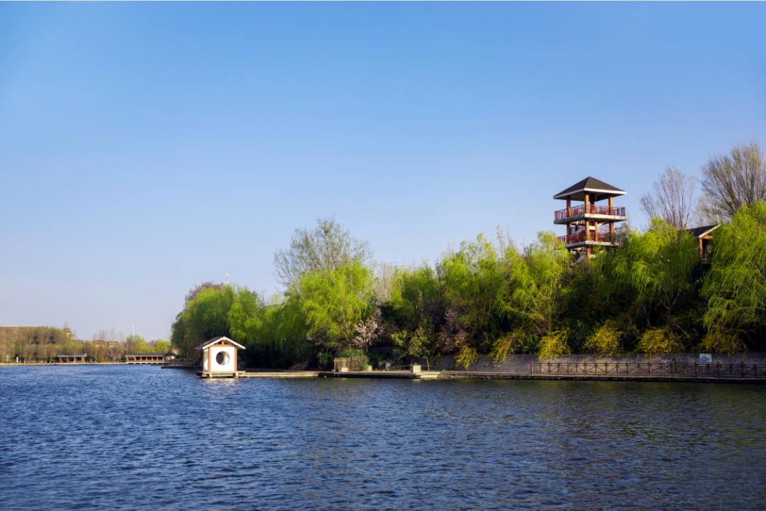 郑州合适周末逛的地方,郑州目前最值得游玩又便宜的地方