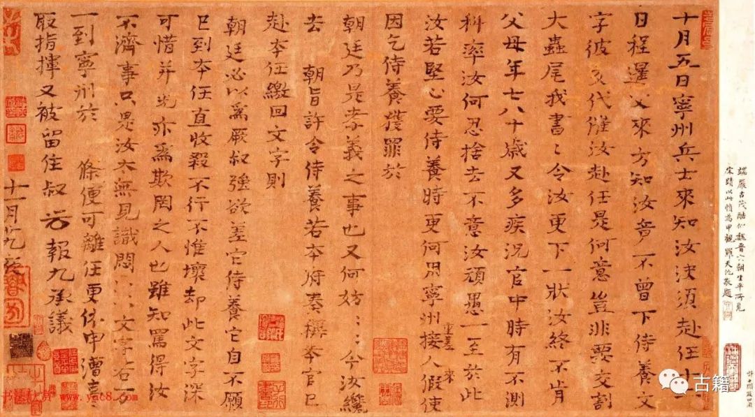 赵冬梅司马光完全版,赵冬梅宋仁宗完全视频