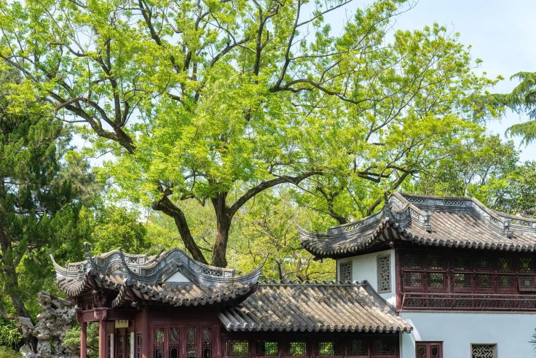 快收好！端午小长假期间，上海各大景点备下超丰富出游盛宴！你可能正需要这份贴心假期玩乐指南