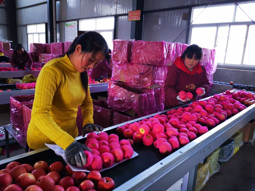 甘肃一扶,甘肃礼县一扶一带名单