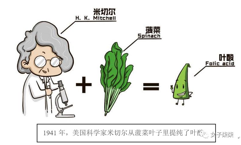 备孕吃叶酸还是复合维生素,备孕补充叶酸每天多少毫克