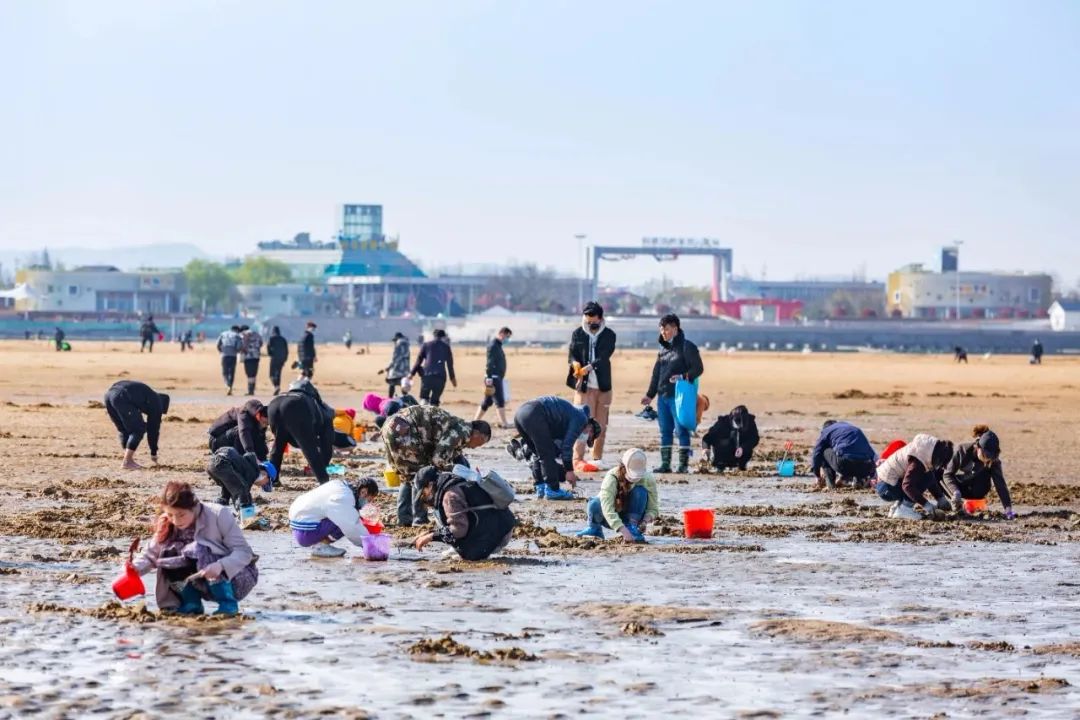 东港合适孩子玩儿的地方,秋天东港好玩的地方推荐小孩玩
