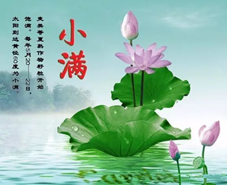 二十四节气歌顺口溜是谁编的,二十四节气顺口溜完全版下载