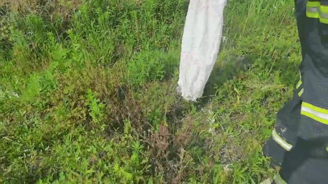 惊悚！锡城近日，蛇出没频繁，遇到它这么办？戳→