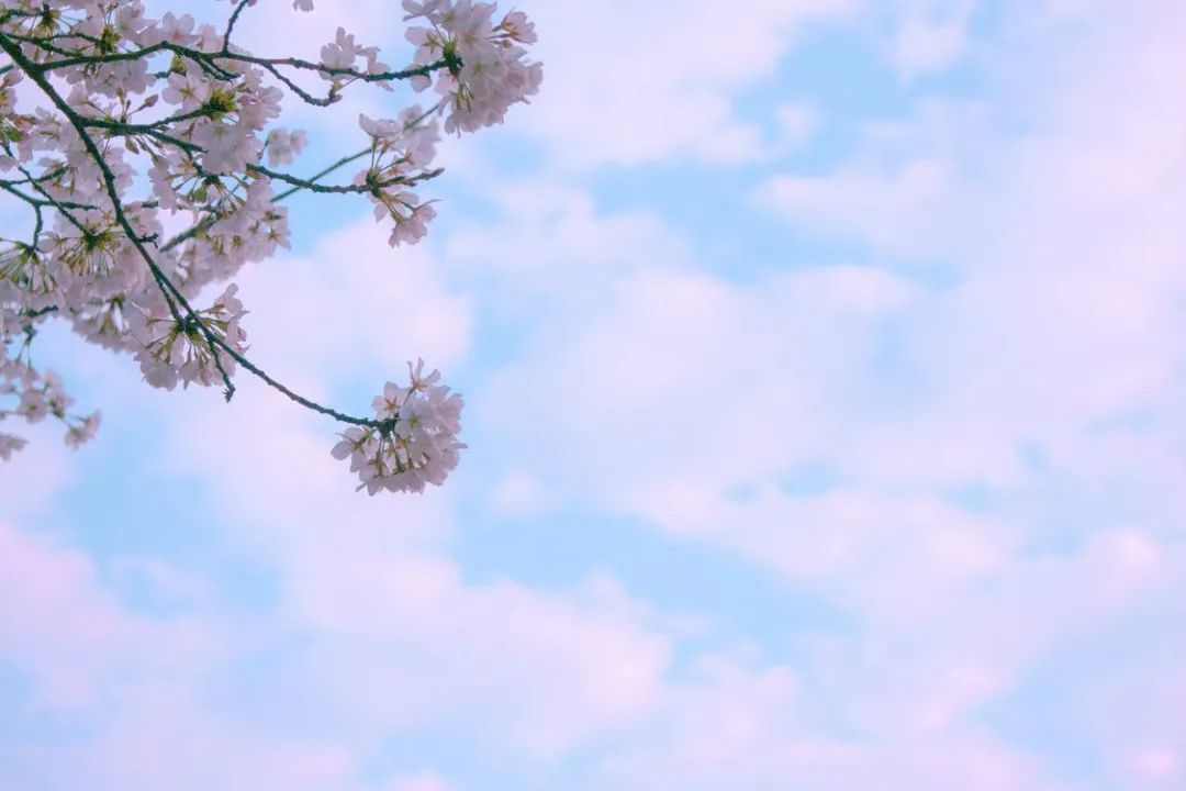 加强泌尿系健康和盆底肌肉|《更年期的智慧》第八章第7节