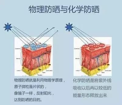 泰国人用什么防晒,泰国人参防晒