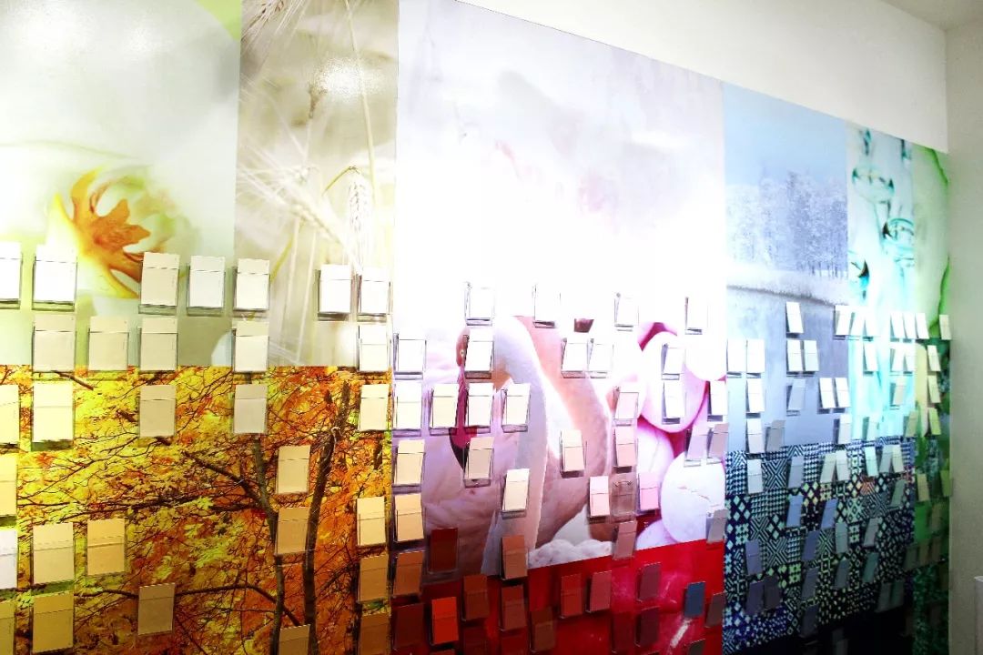 芬琳漆五合一官方旗舰店,金装芬琳五合一内墙漆