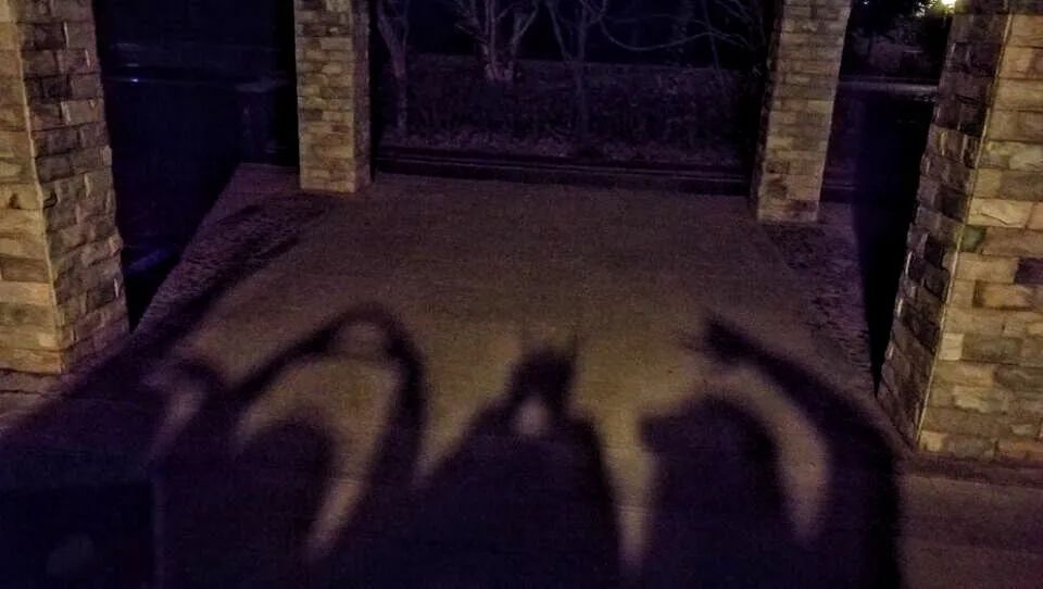 无声云南师范大学,母校云南师范大学