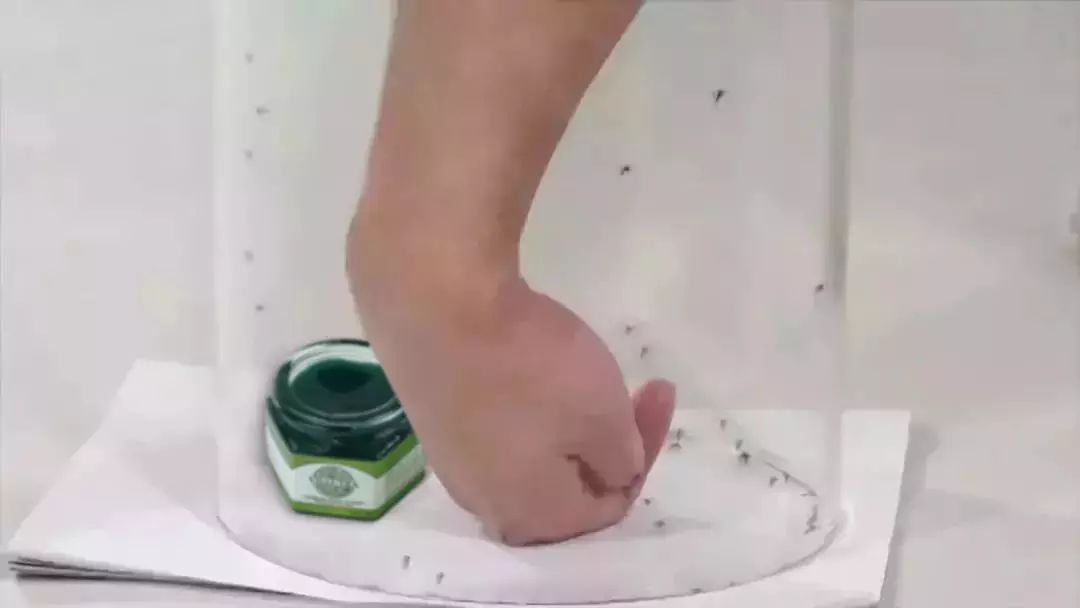 教你2分钟快速止痒,一小瓶止痒的药膏