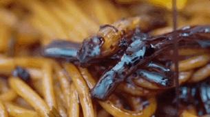 印度街头爆款小吃大全,13个爆款街头小吃创业项目pdf