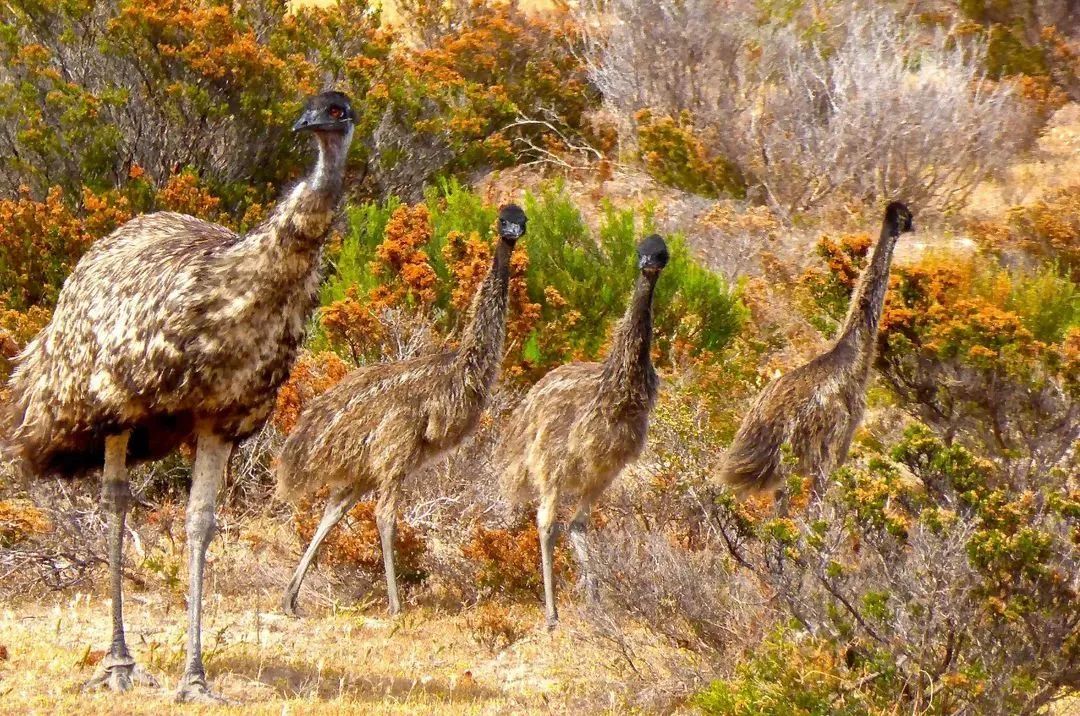 脚臭脱鞋多久能够去味,脚臭喷鞋袜除臭
