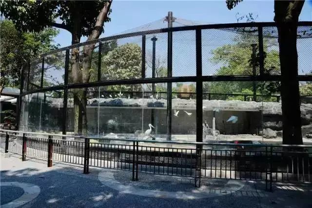 带娃出去玩的公园推荐,周六日能够带娃去的公园