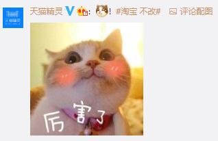 微信号都能够改了，那淘宝号呢？官方硬核回应遭网友吐槽：你没有心