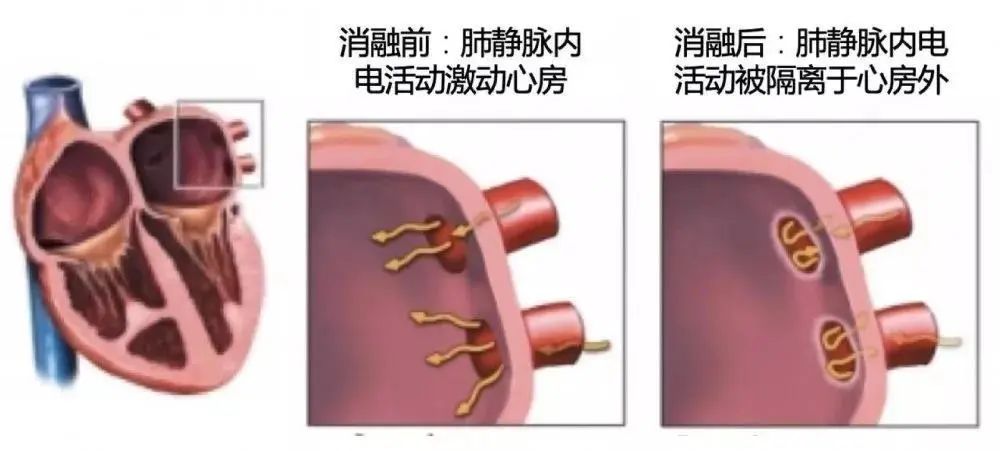 地区医院“摆摊首秀”来一波