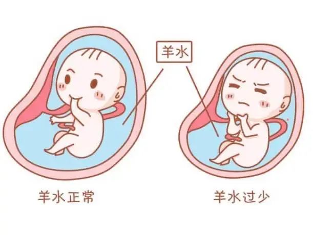孕期医疗科普短视频,孕期科普健康知识内容