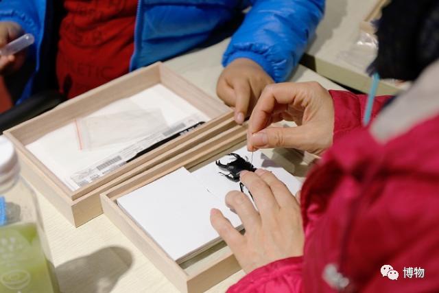 看见虫子动弹不得,看到虫走不动路