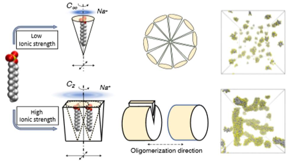 德国应化影响因子为何升不上去,德国应化简介