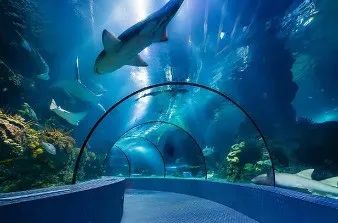 快收好！端午小长假期间，上海各大景点备下超丰富出游盛宴！你可能正需要这份贴心假期玩乐指南