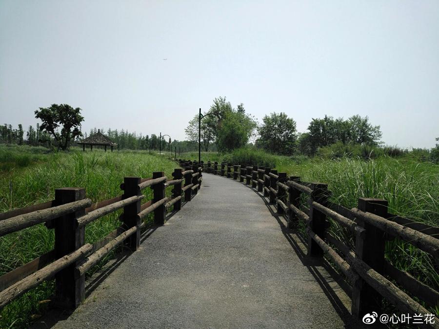 火了火了！成都又新添一个区，地铁10号线直达！夏日纳凉、吃河鲜…3日郊游路线，安排→