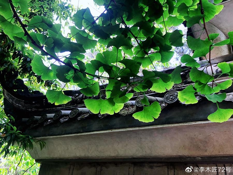 火了火了！成都又新添一个区，地铁10号线直达！夏日纳凉、吃河鲜…3日郊游路线，安排→