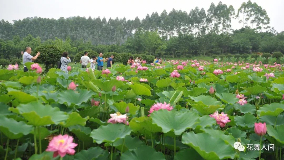 火了火了！成都又新添一个区，地铁10号线直达！夏日纳凉、吃河鲜…3日郊游路线，安排→