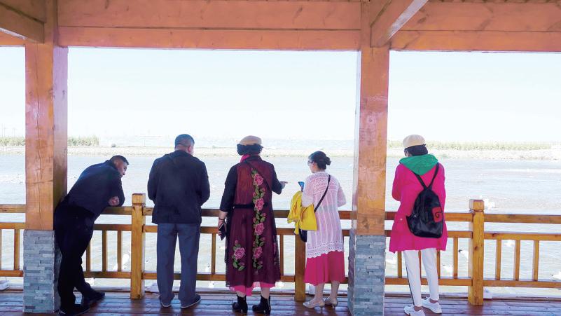 生命的延续青海湖湟鱼洄游,青海看湟鱼洄游