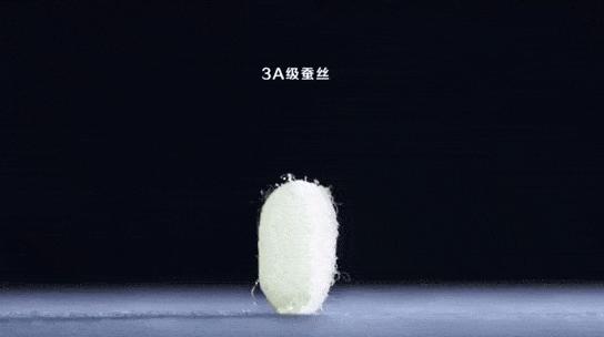 女性妇科病和内裤有关,女性容易得妇科病和内裤有关系吗