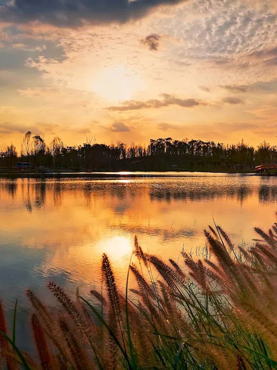 成都绿道潮玩地点推荐,成都绿道附近好玩的地方