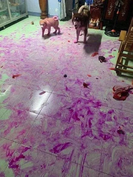 人喝醉之后到底有多搞笑,盘点喝醉的人有多搞笑