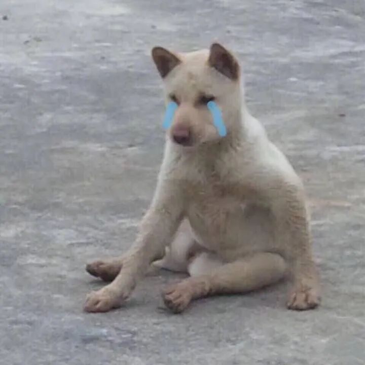 人喝醉之后到底有多搞笑,盘点喝醉的人有多搞笑