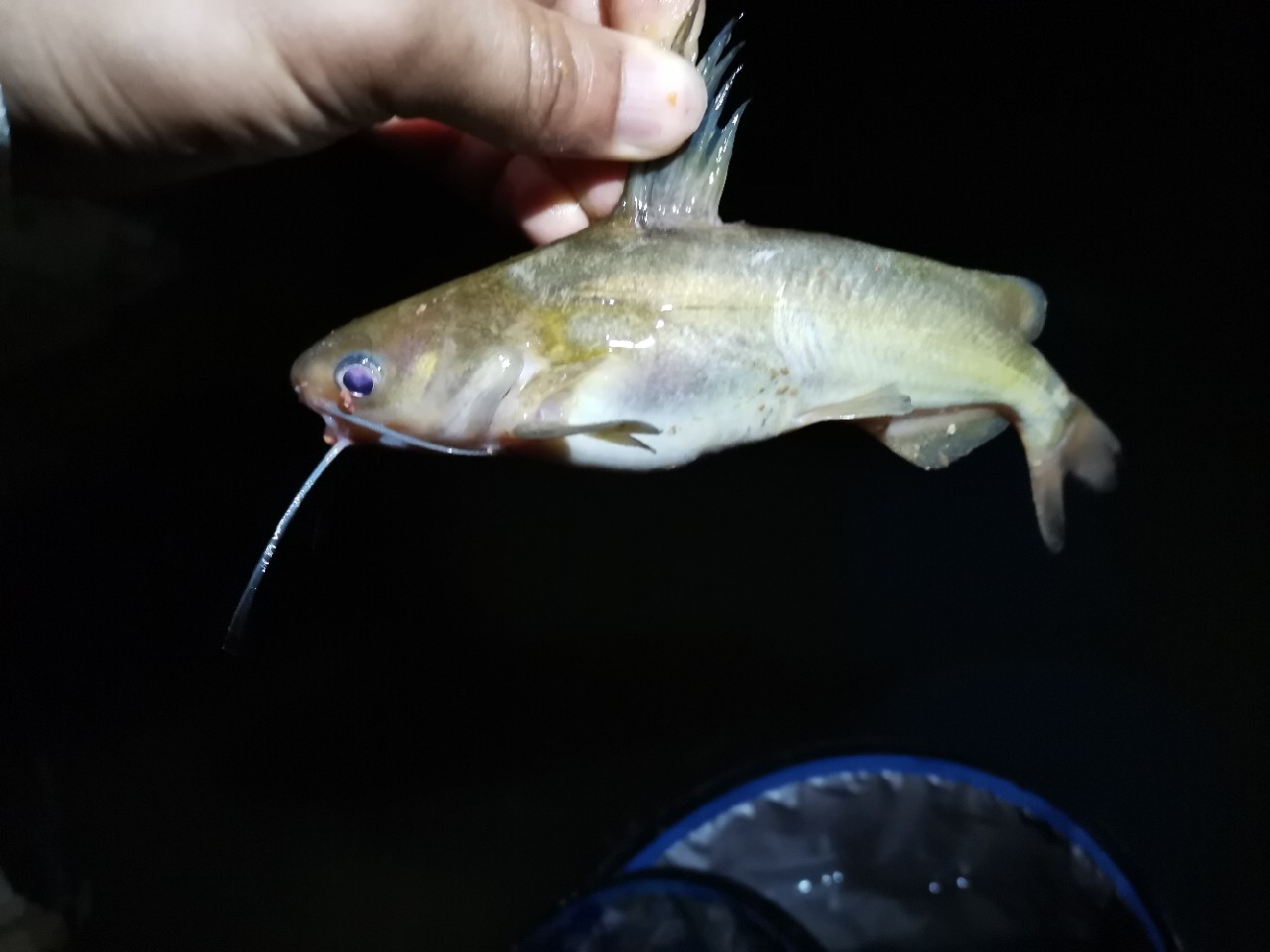 灏忓悍鍝ヤ竾宄版箹閽撻奔 (灏忓悍鍝ユ帰閽撲竾宄版箹)