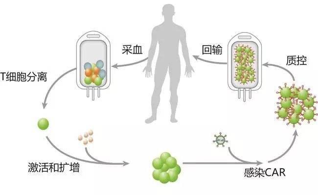 免疫治疗能使肿瘤缩小吗,一文读懂癌症的真相