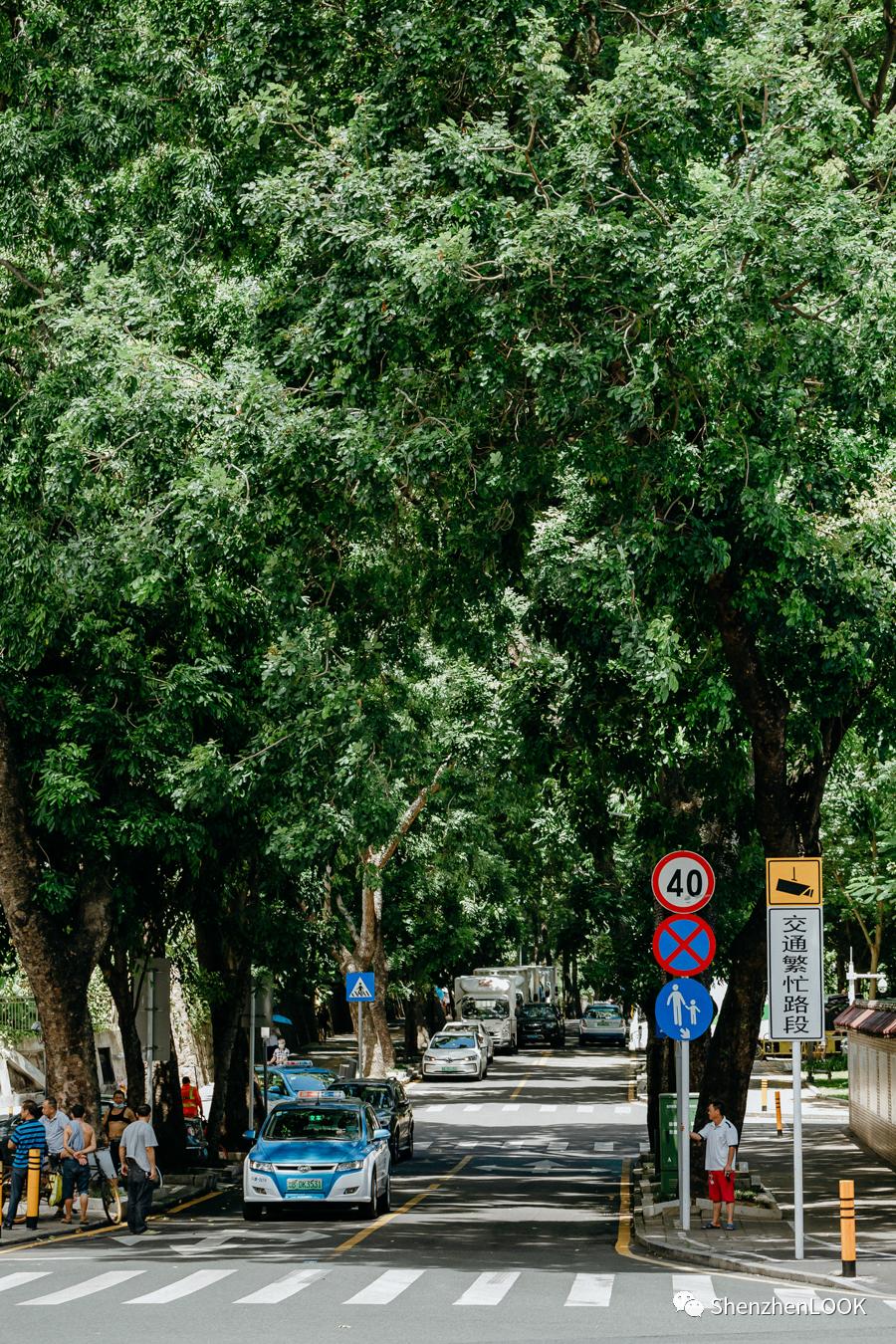 LOOK|这，就是景田