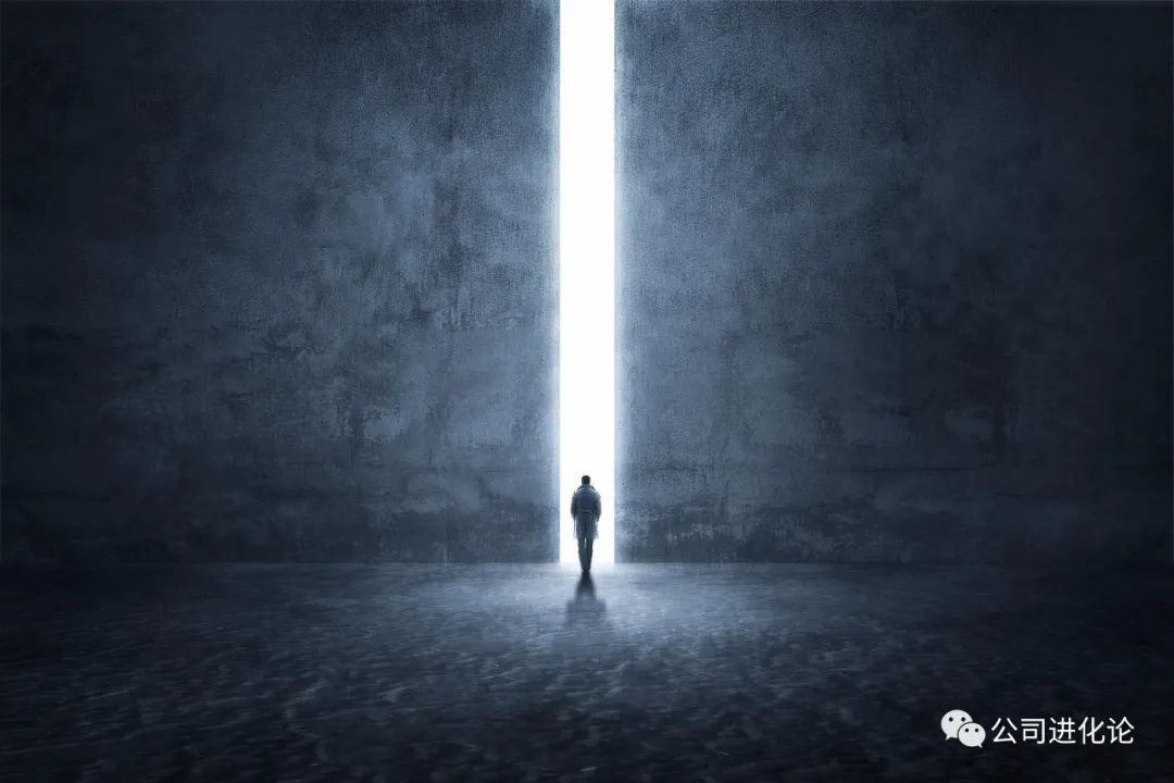 东邪葛卫东北丐,东邪葛卫东的传奇