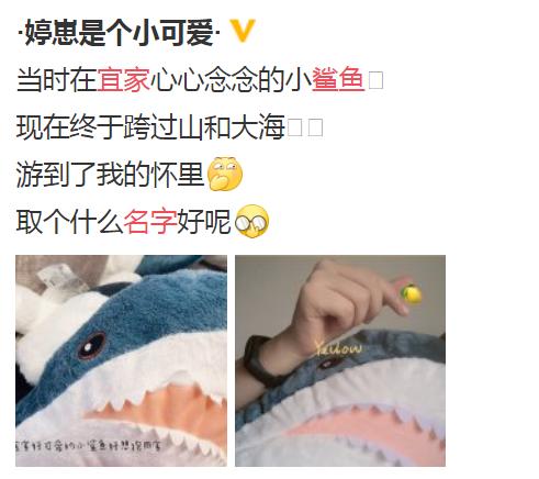 宜家大鲨鱼便宜,宜家大鲨鱼值得入手吗