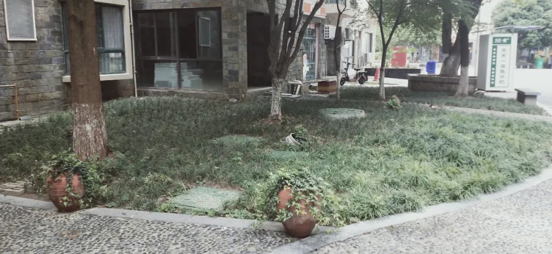 涨幅低、环境一般，南京这个地铁口小区成交却“意外”火热