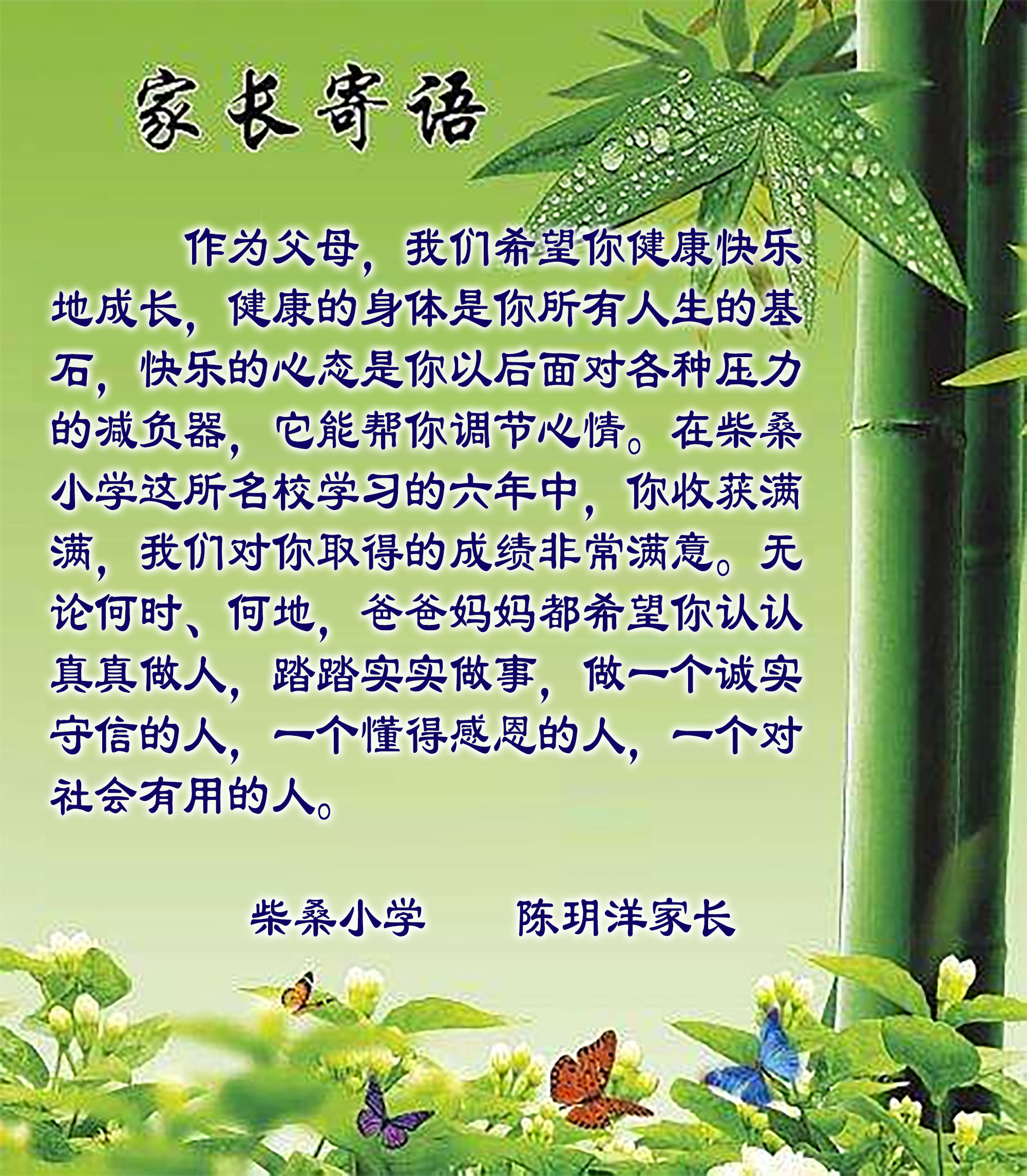 柴桑小学优秀少先队员,柴桑小学六一儿童节表演