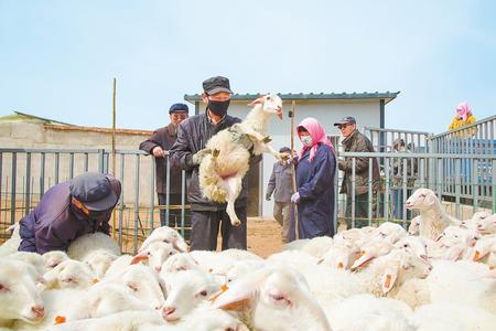 兰州新区易地搬迁古浪调研,古浪易地搬迁贷款