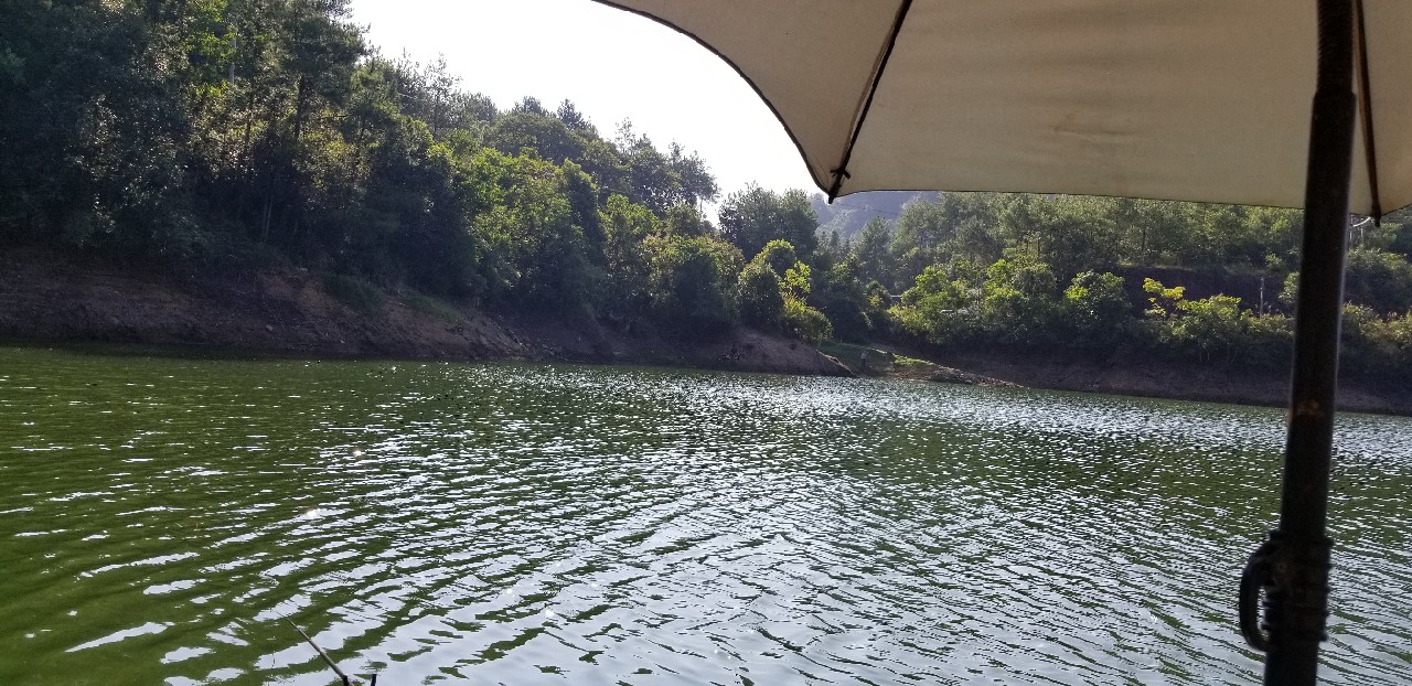 鱼没钓到还把诱饵吃了,鱼没钓到雨还下大了