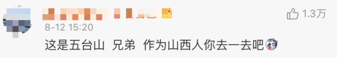 带你了解车牌,对车牌一点不了解