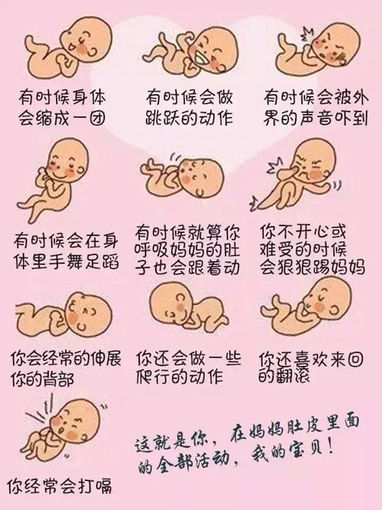 宝宝在子宫会无聊吗？看看胎儿在子宫内都干些什么