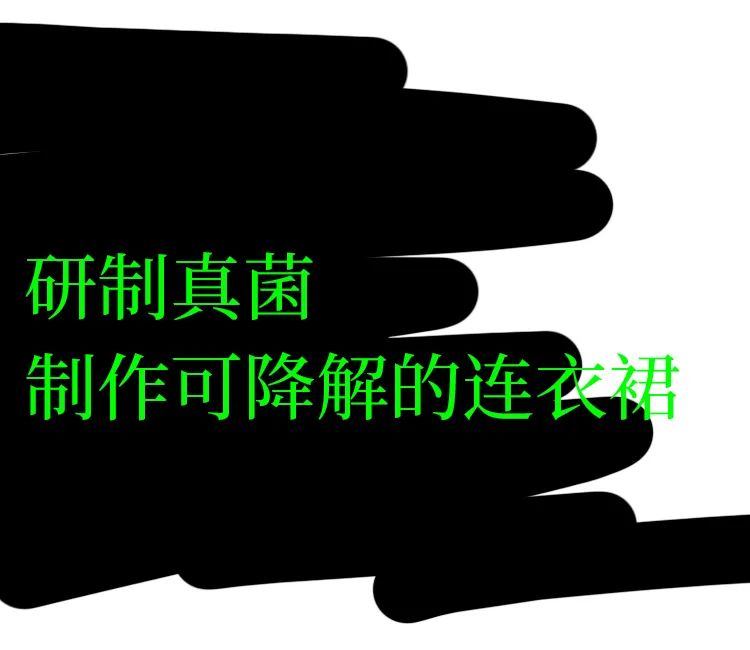 黑科技可拍照,黑科技拍照真实图片