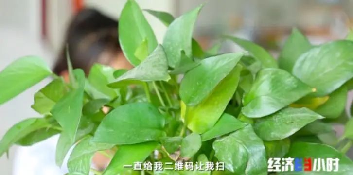 发500返1000？注意了，这种新*局骗**专挑孩子下手