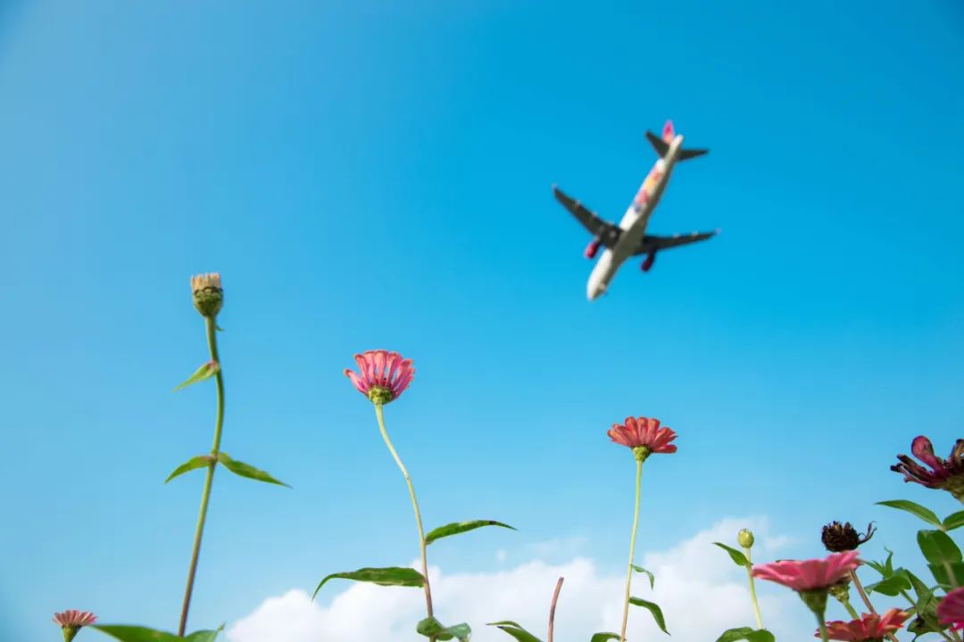 成都双流晚上合适拍照打卡的地方,成都周末打卡推荐双流