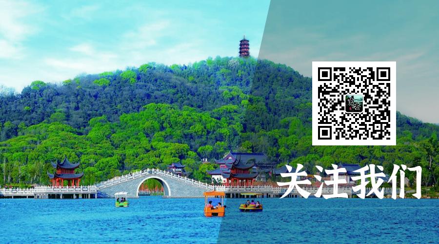泰和特产牛皮糖,江西吉安泰和土特产牛皮糖